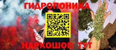 бошки Обнинск