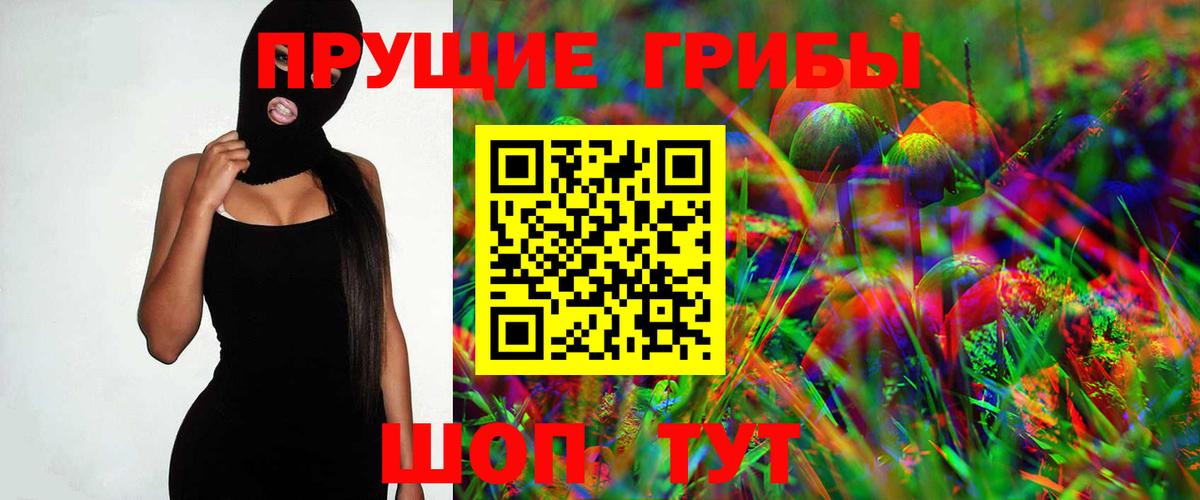 Псилоцибиновые грибы Psilocybe Сыктывкар